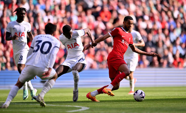 善始善终 善始善终